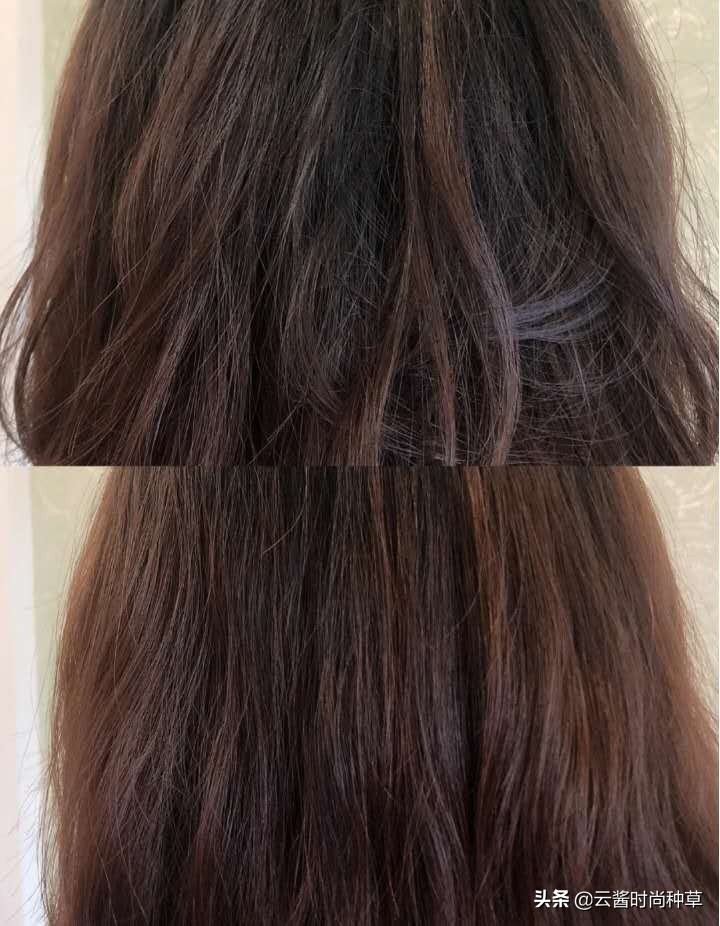 平价洗发水测评红黑榜,洗发水推荐控油蓬松真实测评沙宣