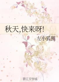 好看的全息网游女主小说,10部神级重生网游小说女主