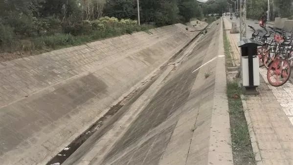 北大教授雷人言论,北大教授有哪些奇葩言论