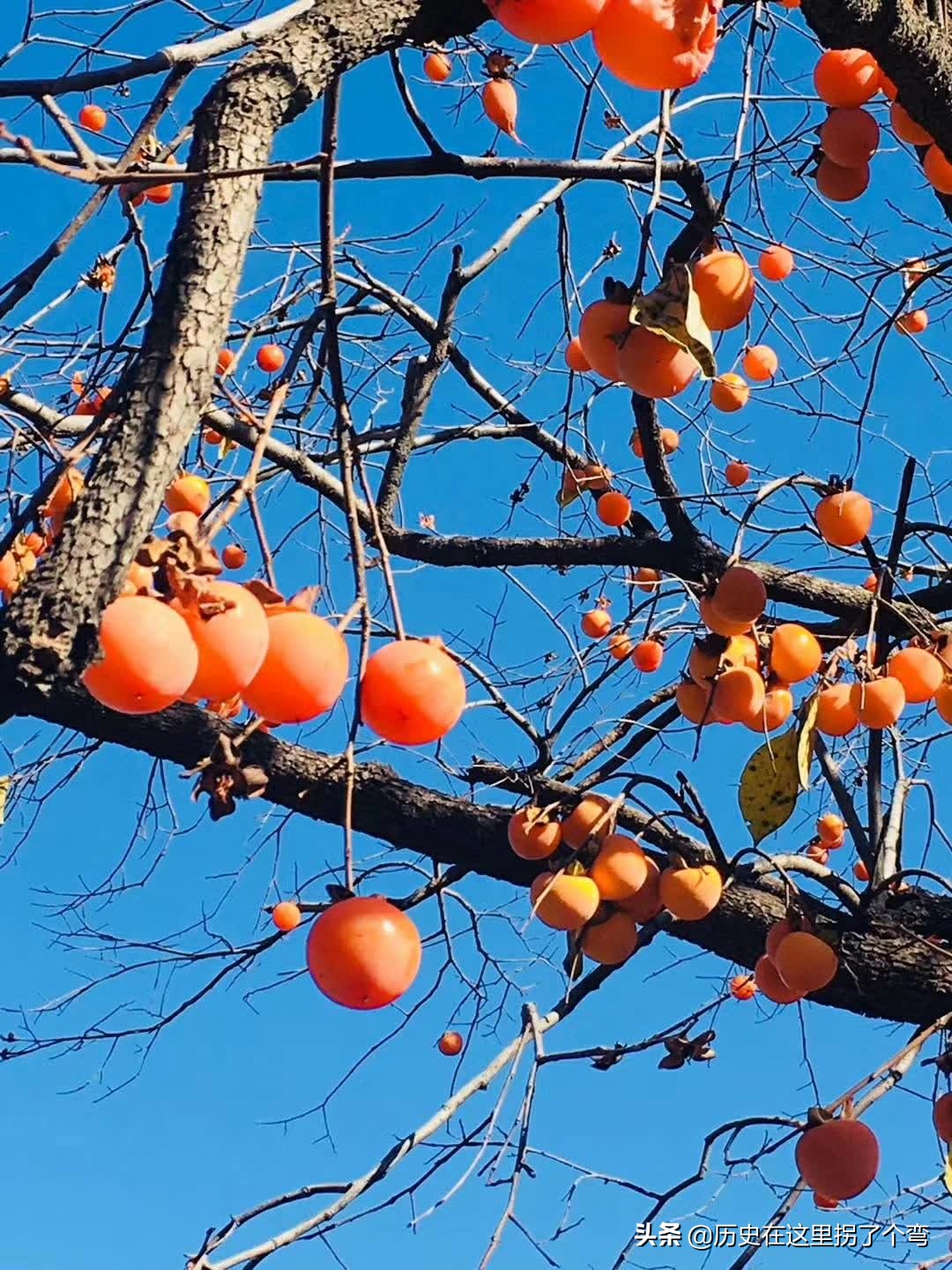 农耕文明看源头之十五：怪事年年有，晋穆侯一战打出个仇人和仇国