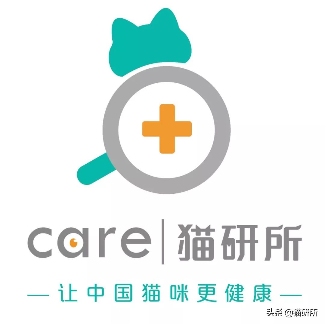 猫咪意外中毒怎么办,猫咪中毒怎么解救