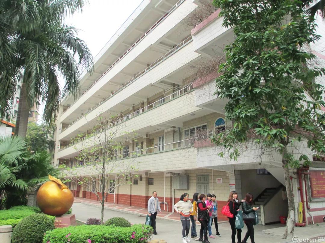 佛山优质教育展直播,佛山首届教育嘉年华来袭