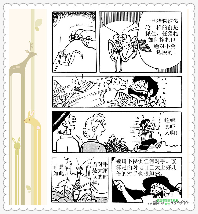 昆虫记法布尔动画片,昆虫记法布尔全套