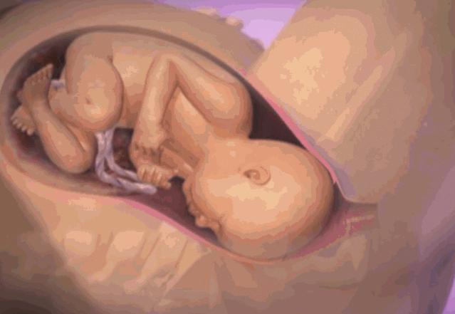 3D实图还原女性分娩全过程，没有一个妈妈能笑着看完