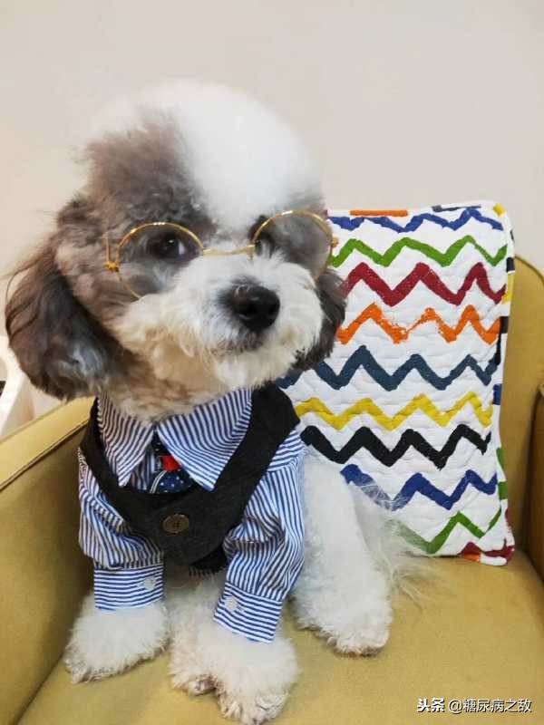 一型糖尿病必须一天打四针,患糖尿病31年每天吃20多种东西