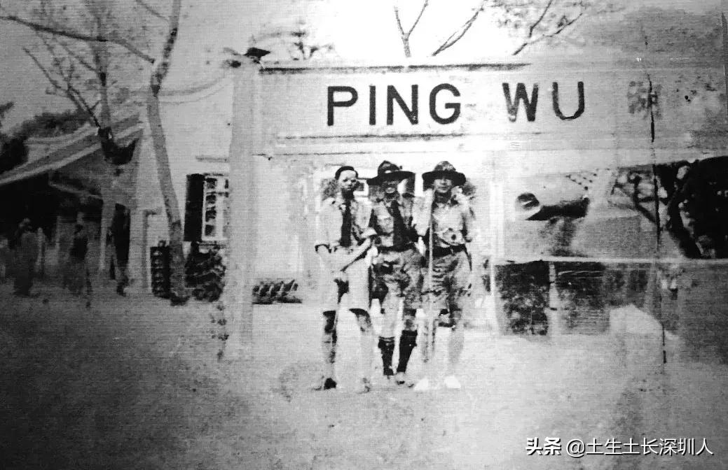 深圳广府家族,宗族文化在广东有多强