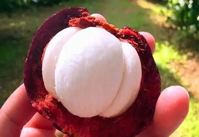 山竹怎么挑选5公6母,原来挑选山竹有技巧掌握好这四点