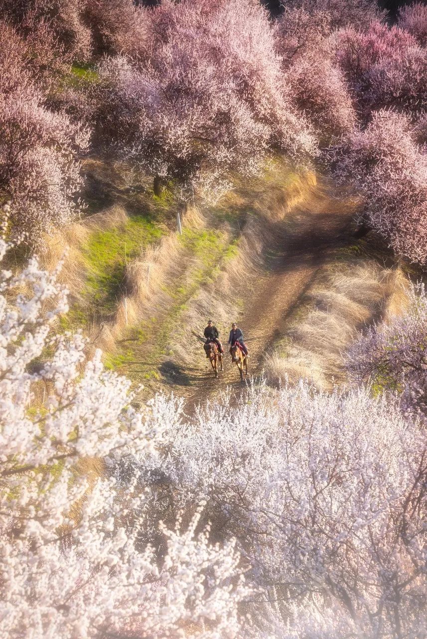 世界一生必去的56个最美的地方,一生必去五十个最美的地方