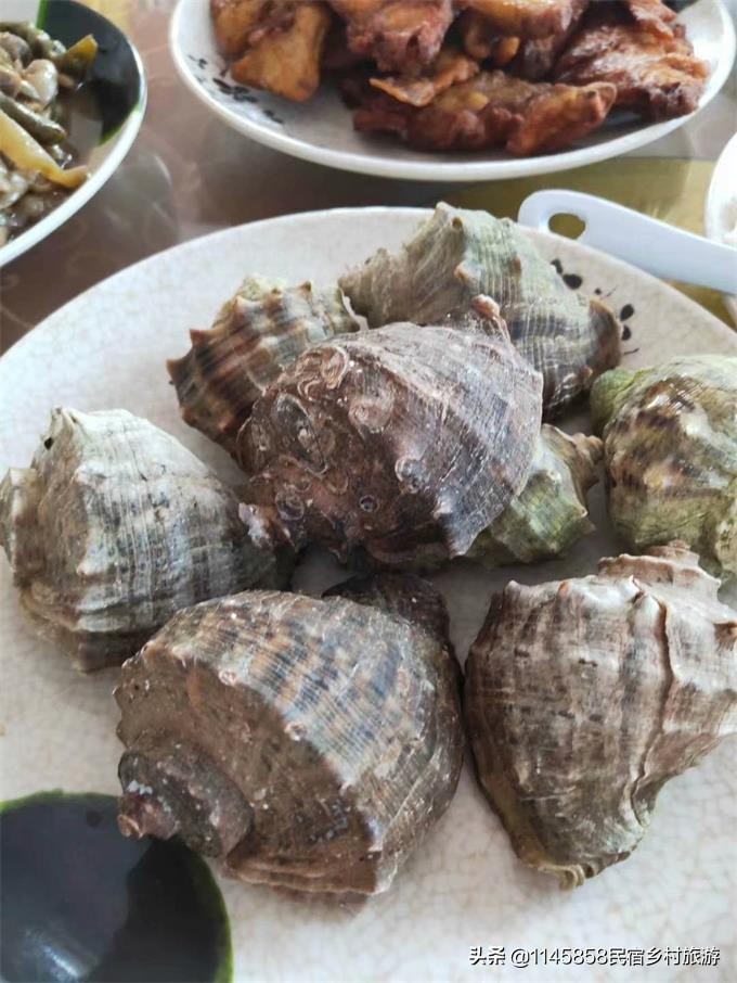 大连哈仙岛滨海渔家,大连义财渔家