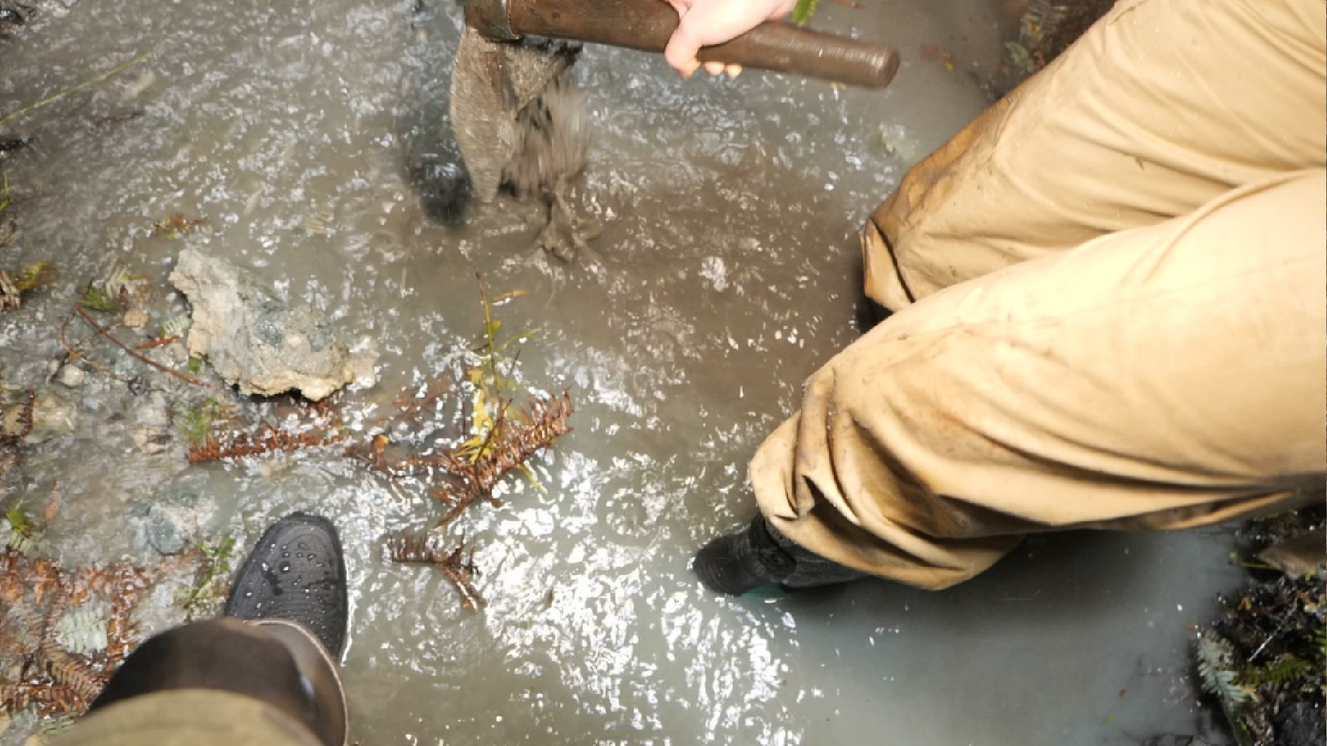 宝姐在斯里兰卡,宝姐的全部视频