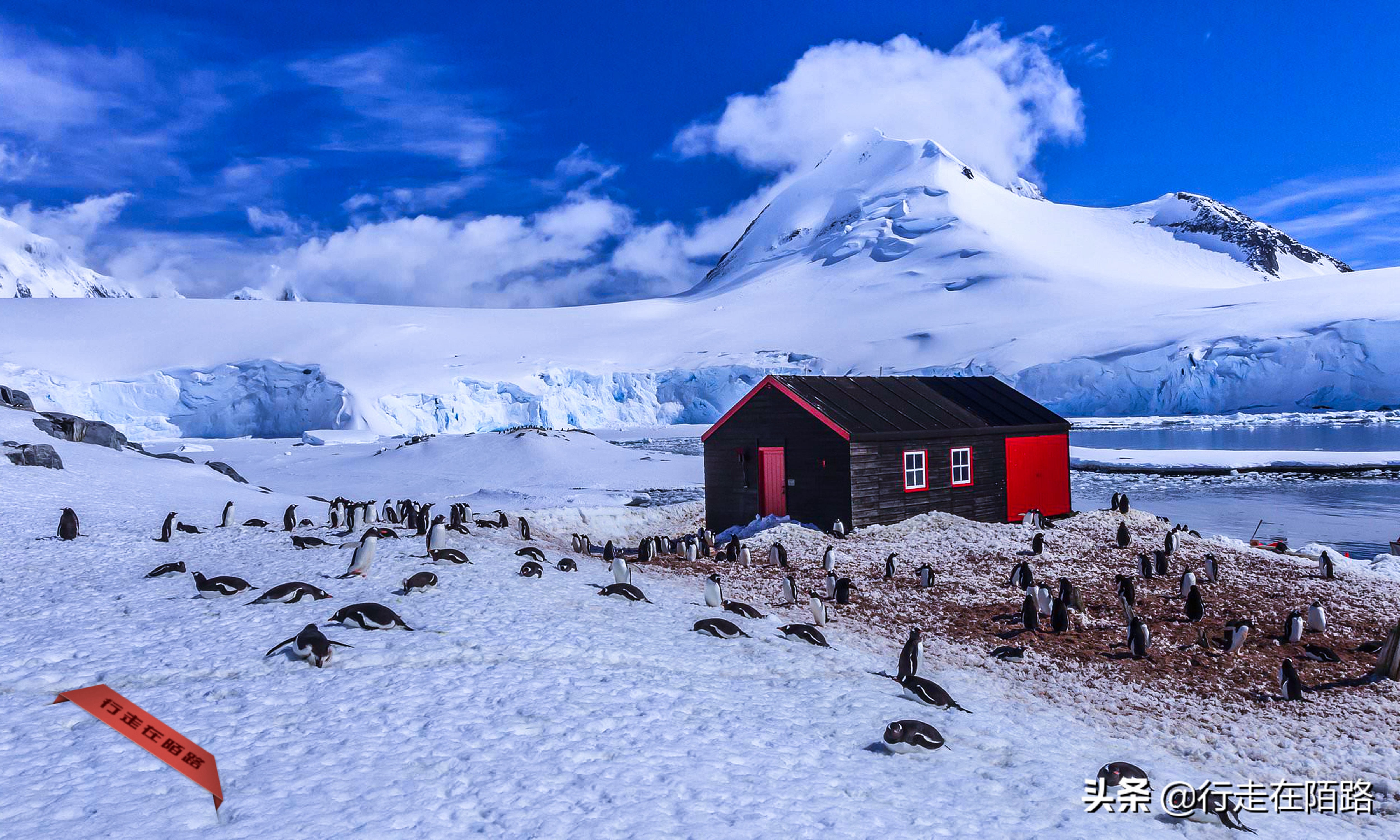 铲屎官招聘,邮局招聘吗