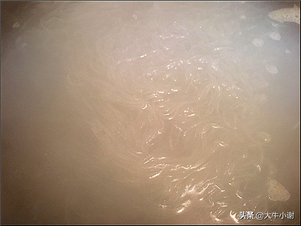 鸭肉莲藕汤窍门,鸭肉煲莲藕汤怎么做好吃