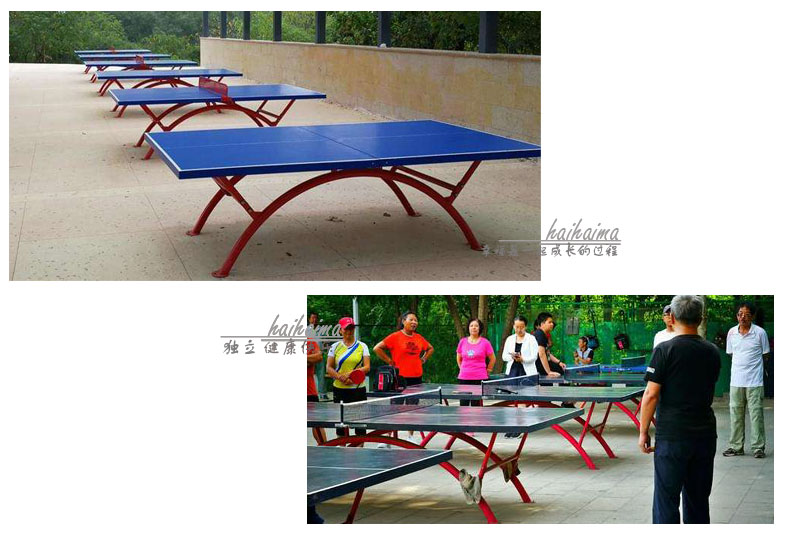 3-6岁儿童乒乓球训练流程,3-6岁儿童乒乓球训练课程