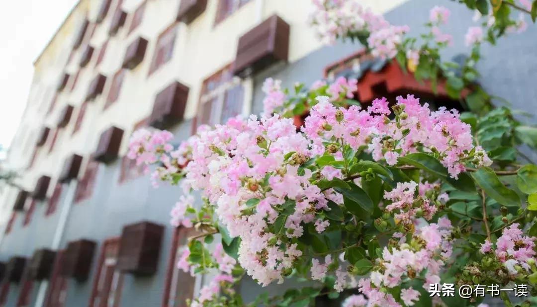 丰子恺教育儿童不要太早圆滑处事,丰子恺的经历带给我们的人生启示