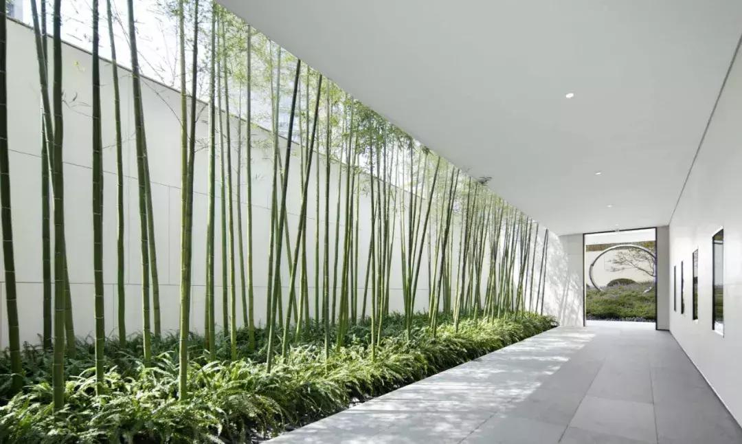 仁恒滨江园2003年价格,仁恒滨江园为什么那么贵