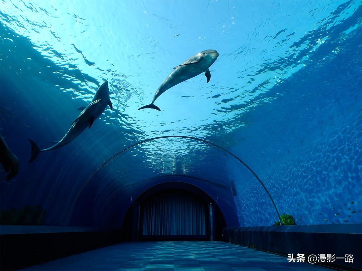 索尼黑卡3和索尼hx99,索尼黑卡hx99