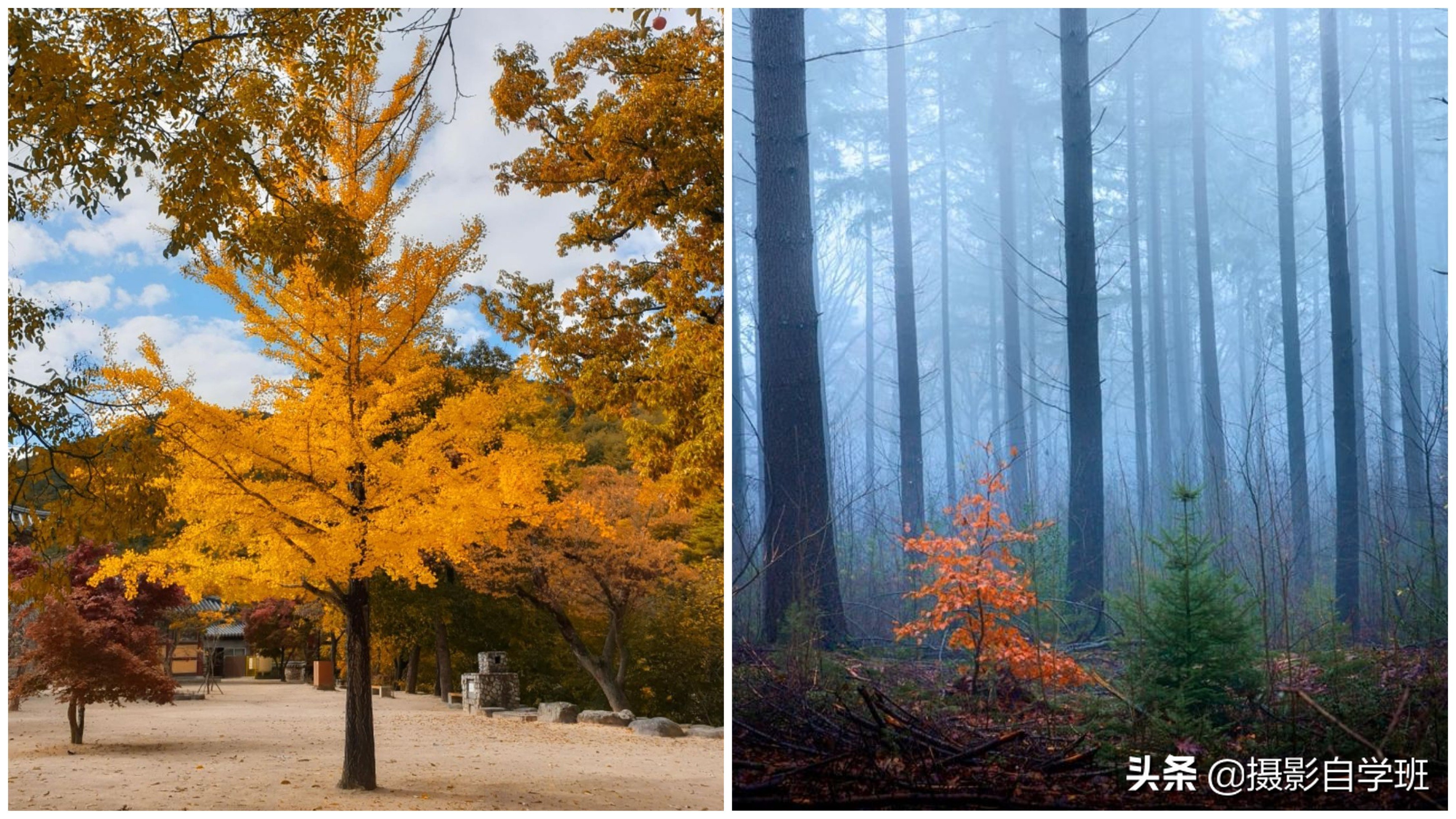 风光摄影必学的10个拍摄技巧,风光摄影作品拍摄的技巧有哪些