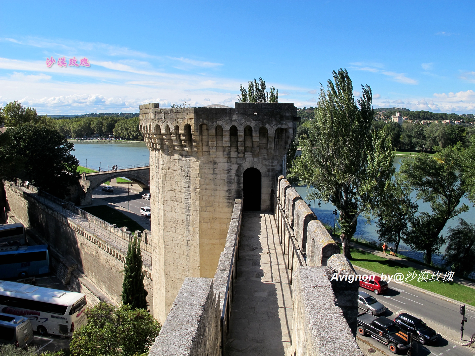 普罗旺斯有浪漫的薰衣草,普罗旺斯未开的熏衣草