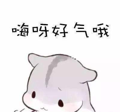 我给我老婆配了一台他们单位最好的电脑，让她再也没有理由划水