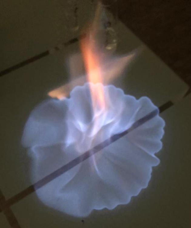 西凤酒55度高脖绿瓶如何辨别真伪,西凤酒绵雅55度黑瓶测评