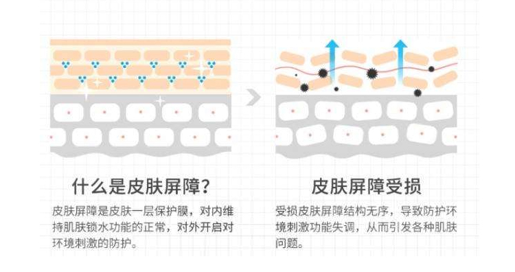 专攻持久战，干皮美白第3步：根源养白，提高肌底修复能力