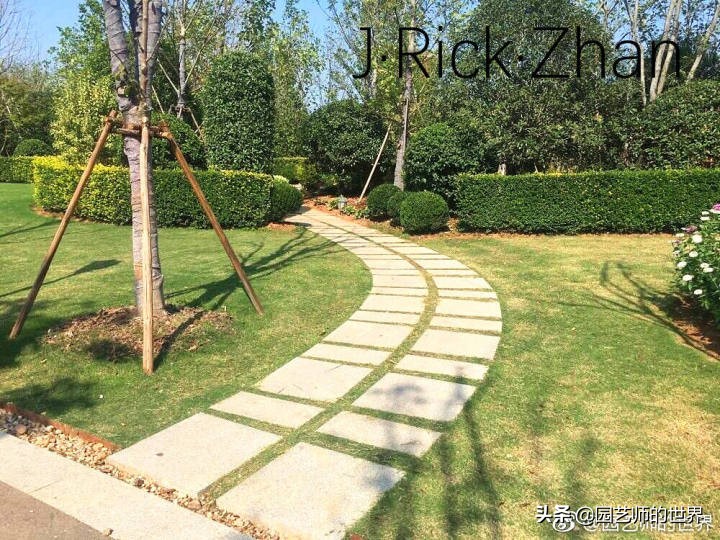 适合北方庭院种植的低矮草坪,家庭庭院怎样混搭种植草坪和蔬菜