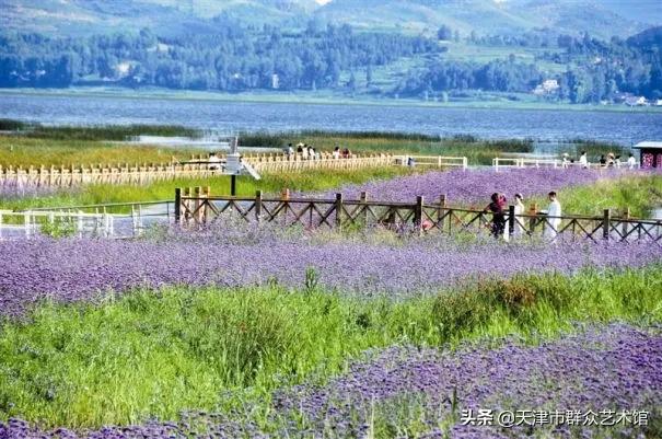 小云带你去旅行丽江详细攻略,8月威宁草海游