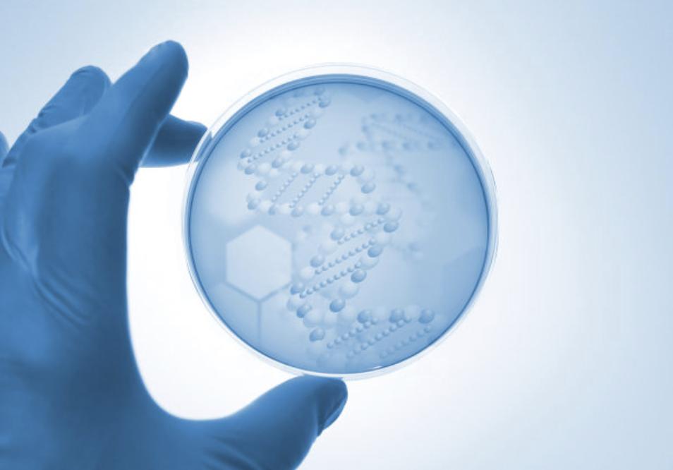 人体内的细菌在多少度以下,人体内最常见的细菌