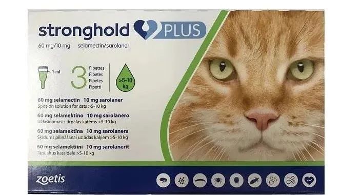 revolution影响效果,大宠爱revolution博美用多少