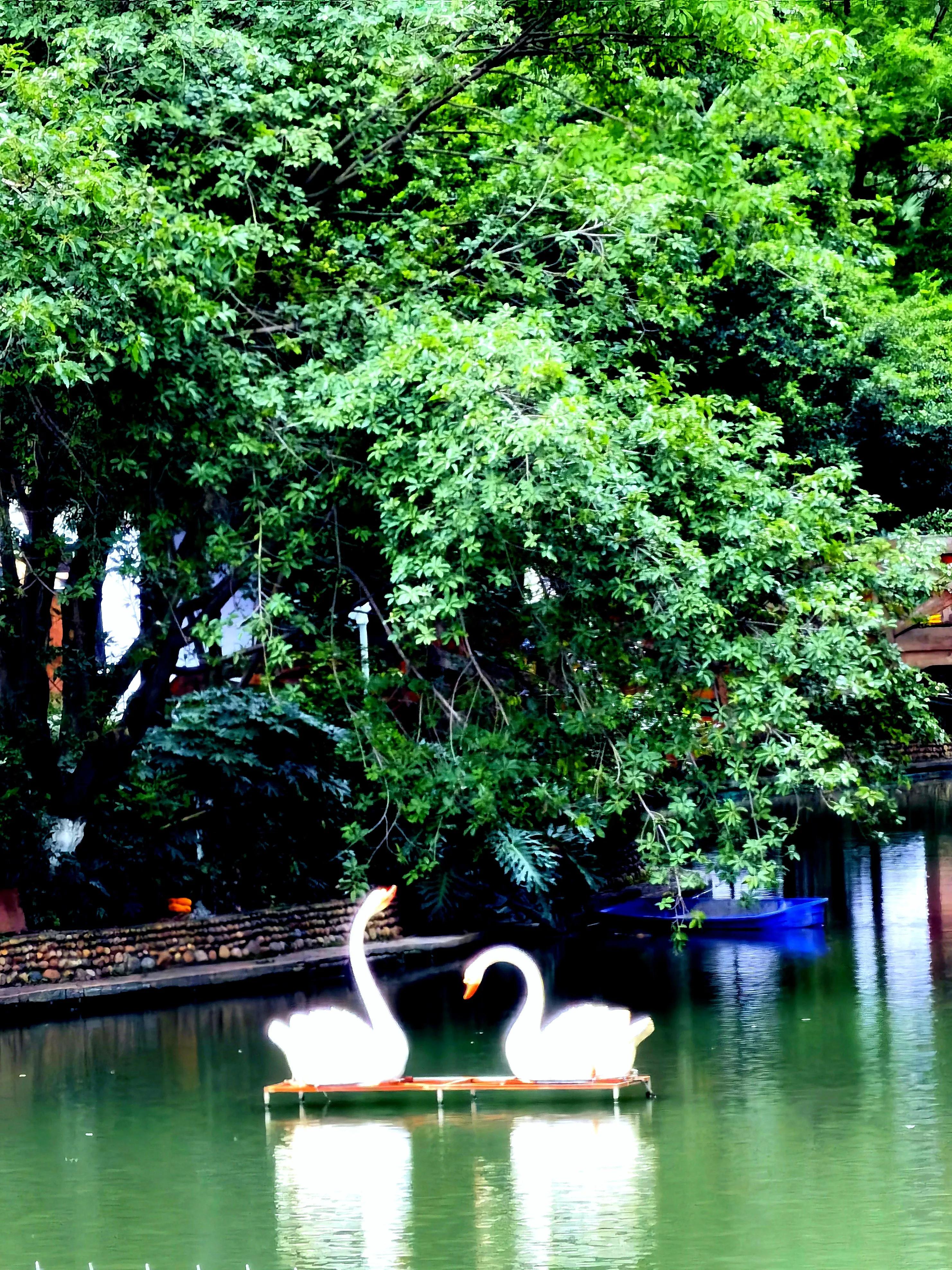 世纪城天鹅湖花园,世纪城天鹅湖别墅公寓