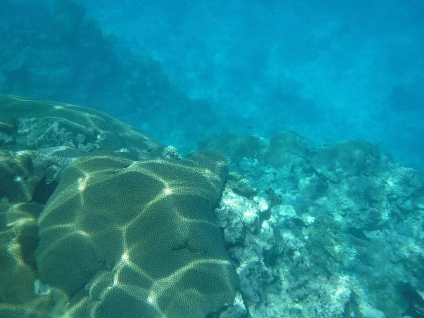 周边海岛国家,附近的海岛