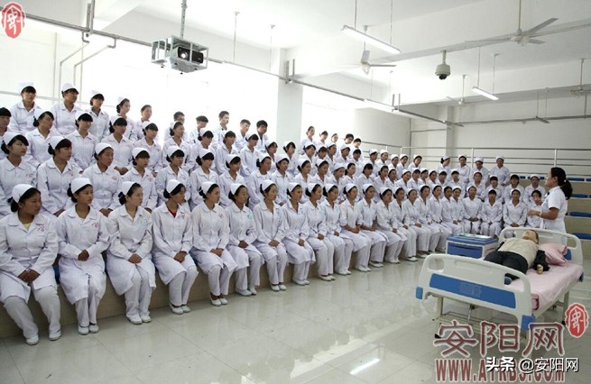 百名记者走基层,百名记者基层行这根扁担两肩扛