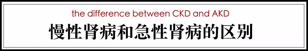 猫病视频,猫肾脏病视频大全