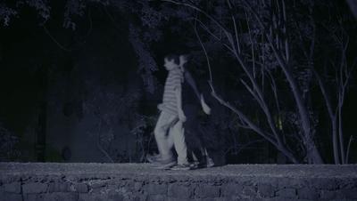 夜半*拍偷**下,成就今年第一部神级纪录片:黑暗下的生命,超乎想象