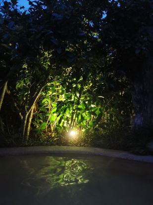 曲靖金麟湾温泉度假酒店怎么样,曲靖金麟湾温泉酒店怎么样