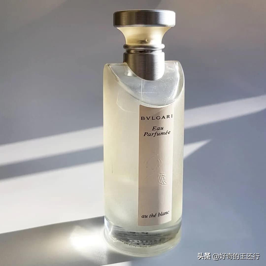 宝格丽茗珍白茶故事,宝格丽茗珍白茶平替