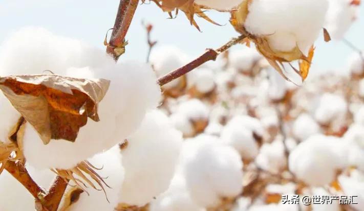 迈克家护肤,迈克家