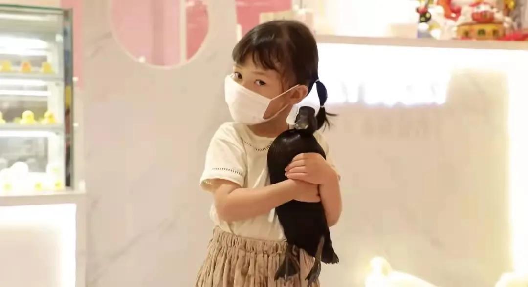 宠物生活馆盘点,北京人气宠物乐园推荐