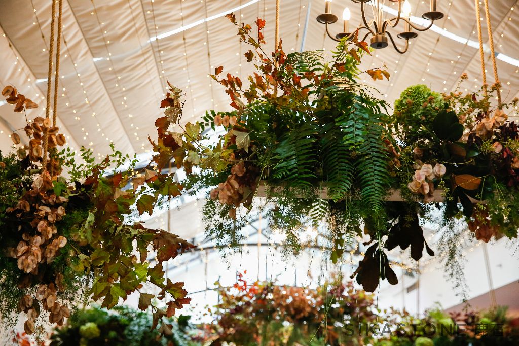 香山漫步美景,香山四季景色