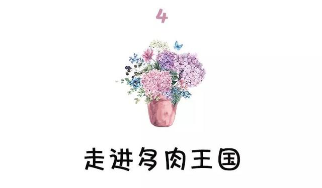 西安三桥附近哪里有花卉市场,西安北二环大明宫花卉市场地址