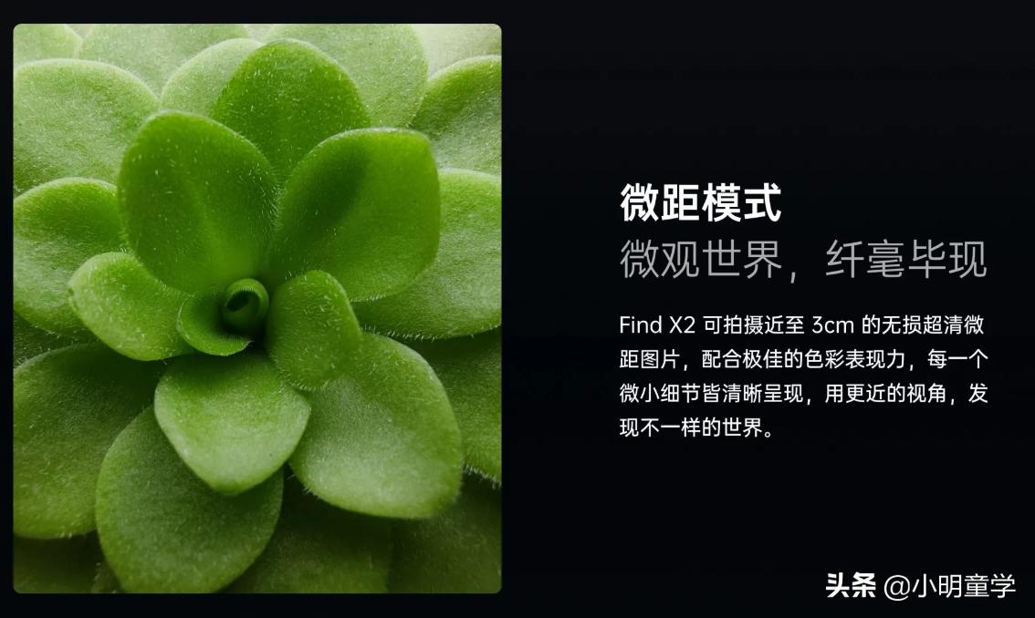 oppo手机出什么问题了,oppo最新手机问题