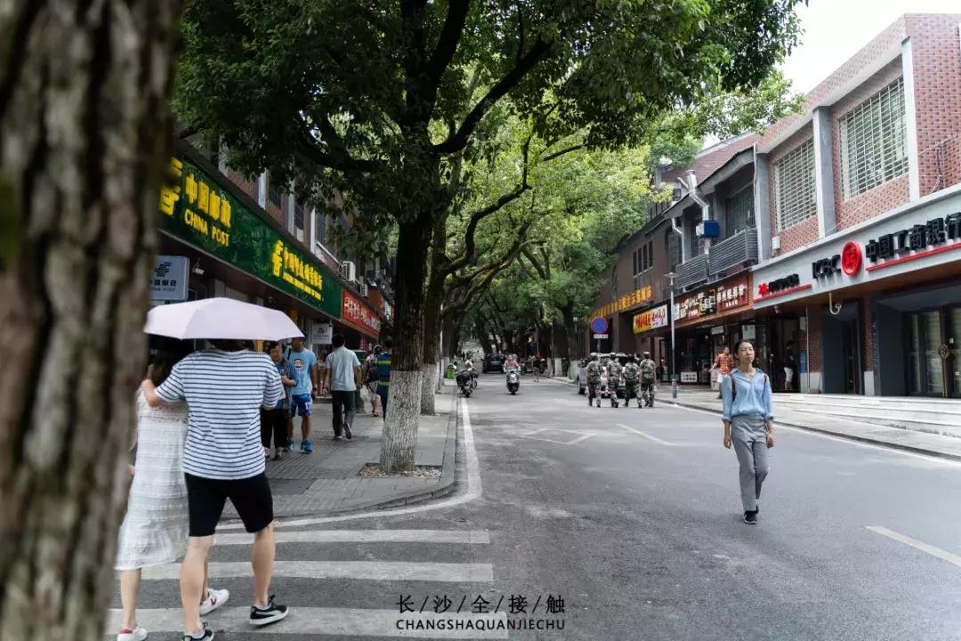 长沙最青春公交，串联6所大学的记忆