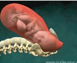 走进产房的那一刻,产钳助产全过程