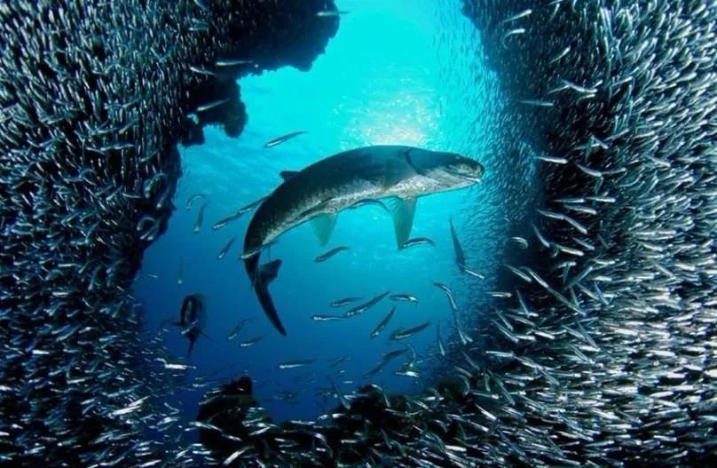 都说房子不好卖可是成交量在哪里,长春的房子为啥难卖