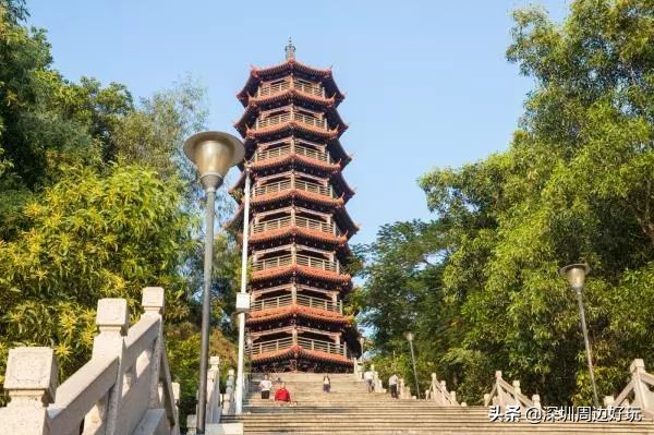 深圳白天游玩公园景点推荐,深圳红树林公园日落