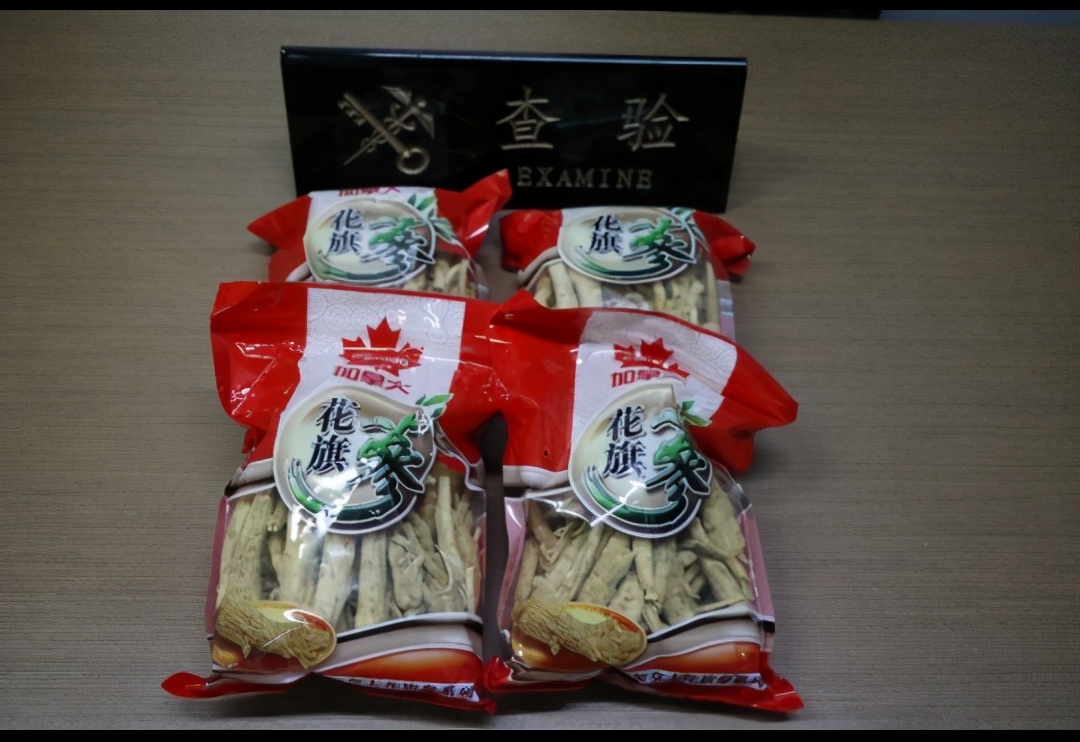 海关查获西洋参可以退运吗,海关截获西洋参