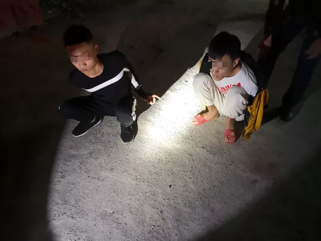 冬虫夏草子实体有毒吗,冬虫夏草砷超标有毒是真的吗