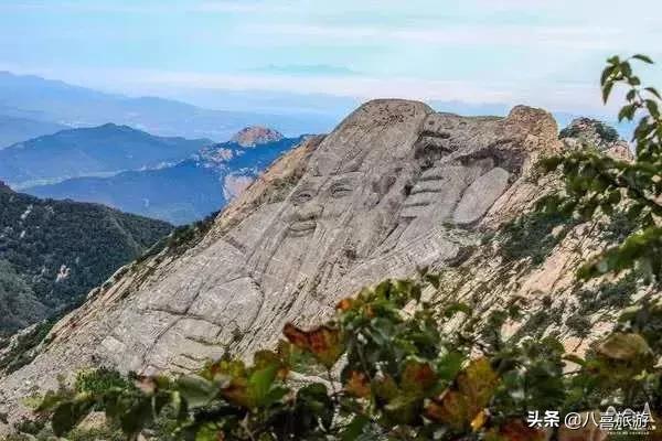 导游证免费进景区山东,山东能使用导游证免费的景点