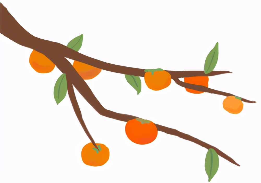 良橙橘日最忆顺昌！主播喊你吃橘子啦