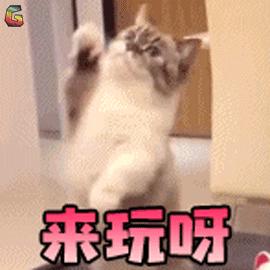 逛吃全攻略在王府井,北京周边逛吃推荐